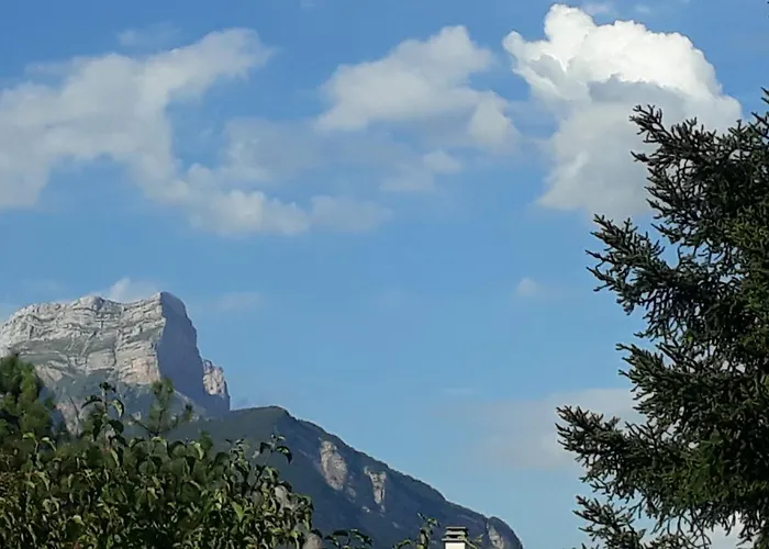 Avec Vue